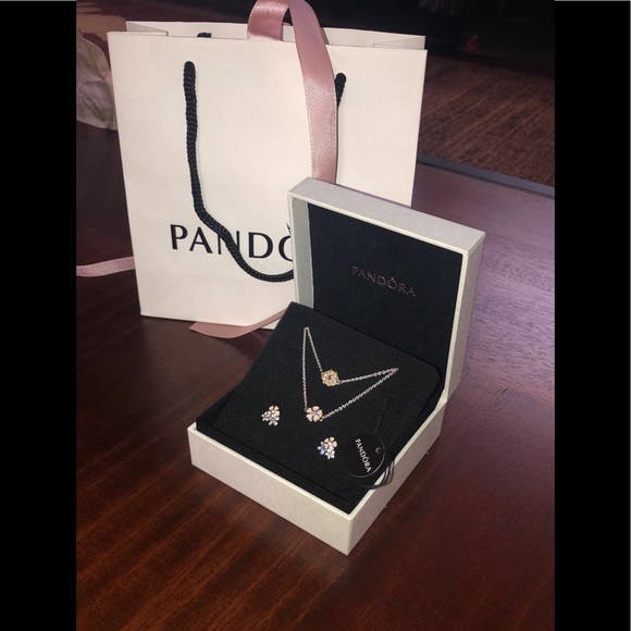 Pandora Jewelry - NEW Pandora Poetic Blooms Necklace & Earrings 2pc